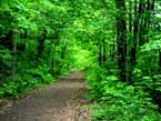 Housatonic Rail Trail in Trumbull (Pequannock Valley Greenway)