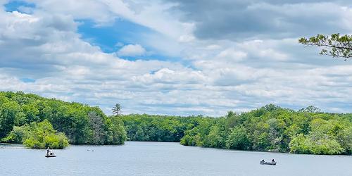 Lake View - Pachaug State Forest (Chapman & Green Falls areas) - Voluntown, CT
