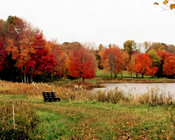 SCENICDRIVESCT