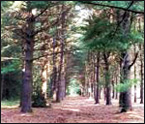 LASTstateparksct