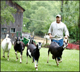 CTFARMS
