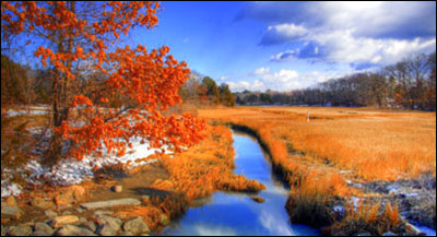 Shoreline and Country Roads of Guilford