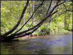 Rock Spring Wildlife Refuge / Preserve