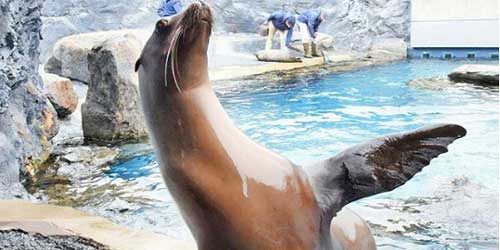 Zoos, Aquariums & Animal Parks in Connecticut