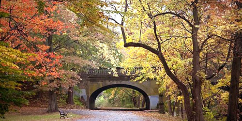 Edgewood Park - New Haven, CT - Photo Credit Friends of Edgewood Park