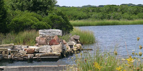 Bluff Point State Park - Groton. CT - Photo Credit CT Department of Energy & Environmental Protection