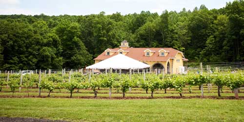 Vineyards & Wineries in Connecticut (CT)