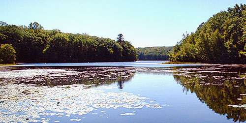 Cockaponset State Forest - Haddam/Chester, CT - Photo Credit CT DEEP