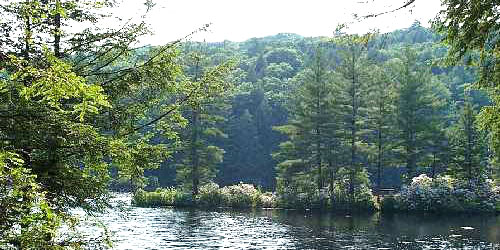 Bigelow Hollow State Park - Union, CT - Photo Credit CT DEEP