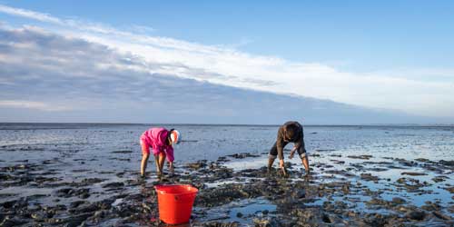 Shellfishing & Clamming in Connecticut