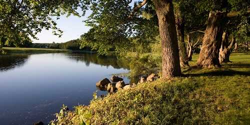 Florence Griswold Museum in Lyme - Photo Credit: Connecticut's Historic Gardens