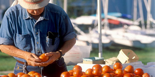 Farm to Table - Stonington Borough Merchants - Stonington, CT