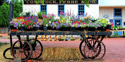 Heirloom Market - Historic Wethersfield, CT