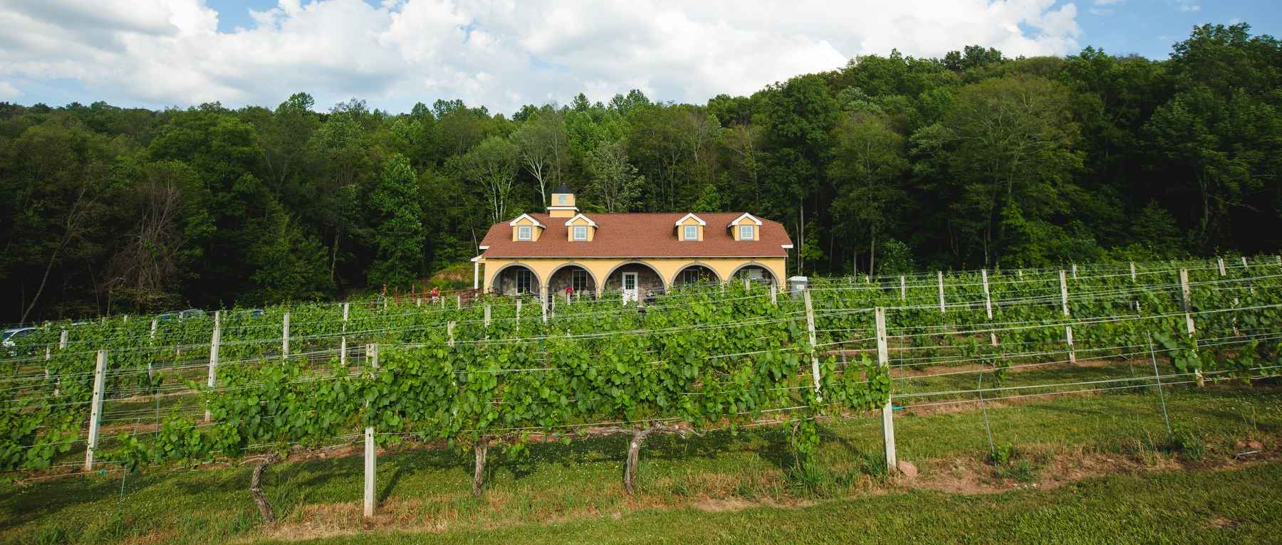 Spring at Paradise Hills Vineyards in Wallingford, CT