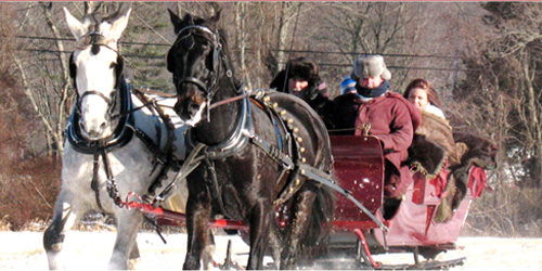 sleigh ride allegra farm in ct