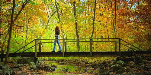 Bartlett Arboretum in Stamford, CT