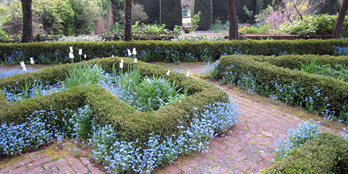 hollister House garden