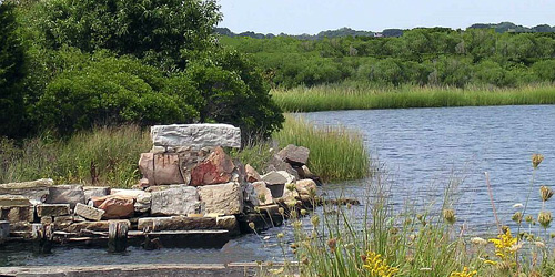 Bird Watching at Bluff Point State Park - Groton. CT - Photo Credit CT Department of Energy & Environmental Protection