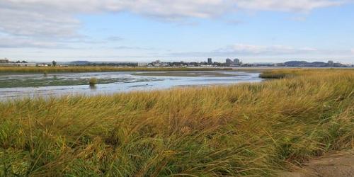 Sandy Point Beach & Bird Sanctuary - West Haven, CT