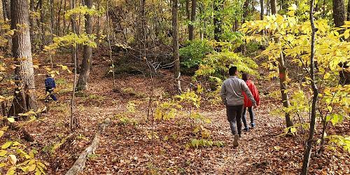 Hiking at Mount Tom State Park - Washington Depot, CT