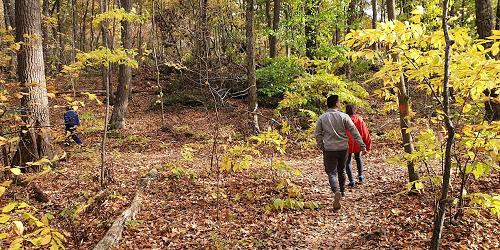 Hiking at Mount Tom State Park - Washington Depot, CT