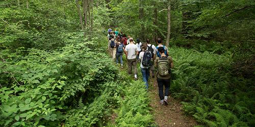 Yale Forest - Eastford, CT