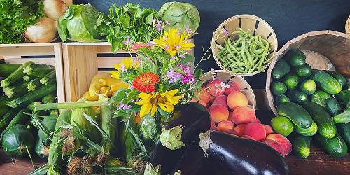 Farm Stand - Castle Hill Farm - Newtown, CT