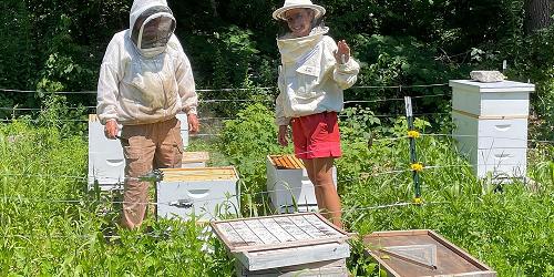 Beekeeping - Flanders Nature Center & Land Trust - Woodbury, CT
