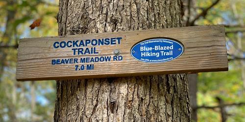 Trail Marker - Cockaponset State Forest - Haddam/Chester, CT