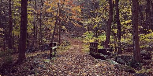 Hiking at Squantz Pond State Park - New Fairfield, CT