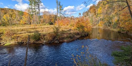 Mill River - Sleeping Giant State Park - Hamden, CT