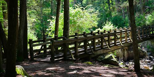 Trail Bridge - Kettletown State Park - Southbury, CT