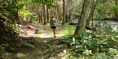 River Hike at Mashamoquet Brook State Park - Pomfret Center, CT - Photo Credit Amy Kettle