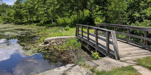 Lakeside Trail - James L. Goodwin Forest - Hampton, CT - Photo Credit Steve Poudrette