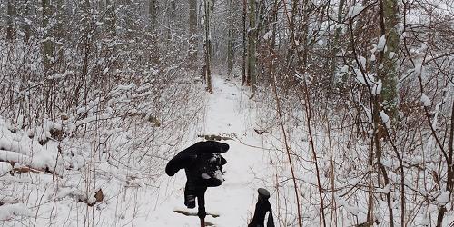 Cross Country Skiiing Trail - James L. Goodwin Forest - Hampton, CT - Photo Credit Erv Piela