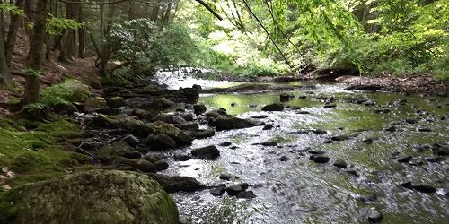 River - Black Rock State Park - Watertown, CT