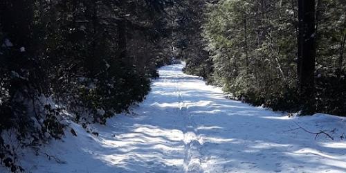 XC Ski Trail - American Legion & Peoples State Forest - Barkhamsted, CT - Photo Credit Kevin Keane