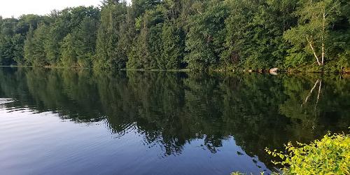 Lake View - American Legion & Peoples State Forest - Barkhamsted, CT - Photo Credit Libertad Martinez