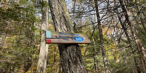 Trail Marker - American Legion & Peoples State Forest - Barkhamsted, CT - Photo Credit Cara MacDonald