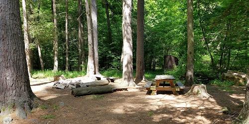 Campsite - American Legion & Peoples State Forest - Barkhamsted, CT - Photo Credit Thomas Fecteau