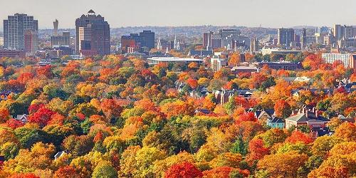Foliage View - Visit New Haven, CT - Photo Credit Visit New Haven
