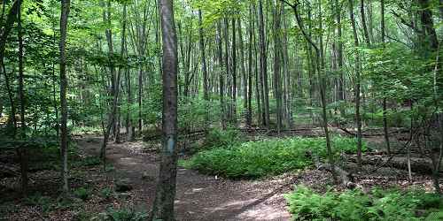 Trails - Earthplace - Westport, CT