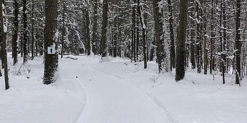 Winding Trails Cross Country Skiing - Farmington, CT