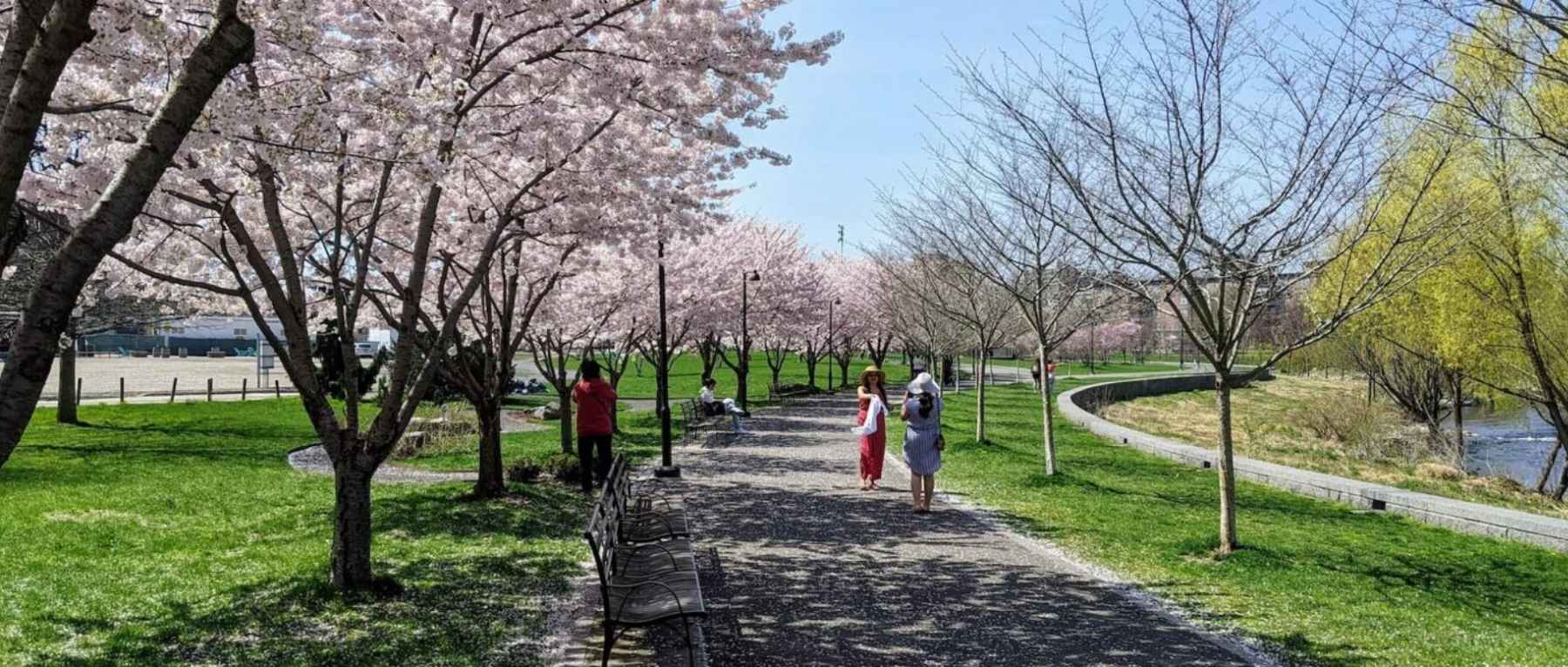 Spring View of Mill River Park in Stamford, CT - Photo Credit Stanton House Inn