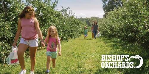 PYO Farms - Bishop's Orchards - Guilford, CT