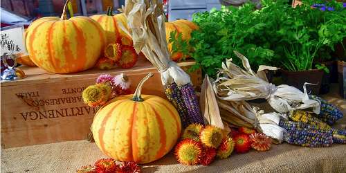 CitySeed Wooster Square Farmers Market - New Haven, CT - Photo Credit Richard Queen via Google Maps