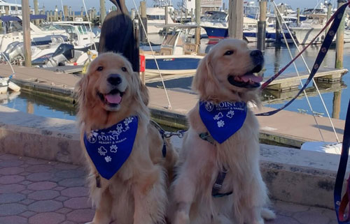 Dogs with Bandana - Saybrook Point Resort & Marina - Old Saybrook, CT