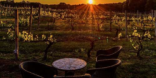 Paradise Hills Vineyard - Wallingford, CT