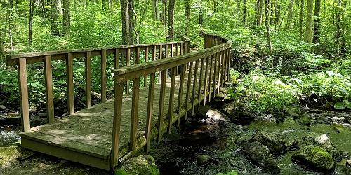 Shelter Falls Park - Mansfield-Storrs, CT - Photo Credit Ken Schulz