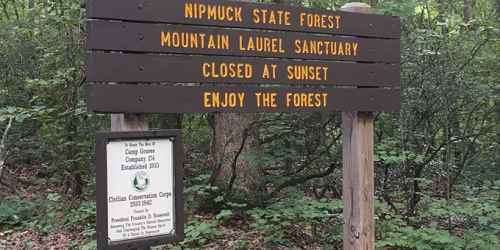 Mountain Laurel Sanctuary in Nipmuck State Forest - Union, CT